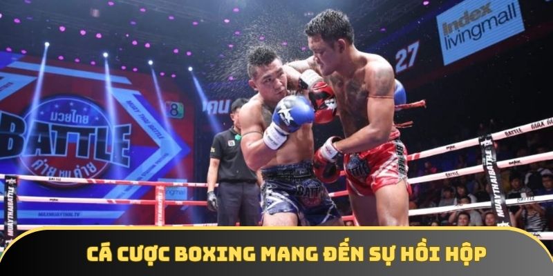 Cá cược boxing mang đến sự hồi hộp, kịch tính