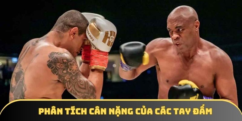Phân tích cân nặng của các tay đấm