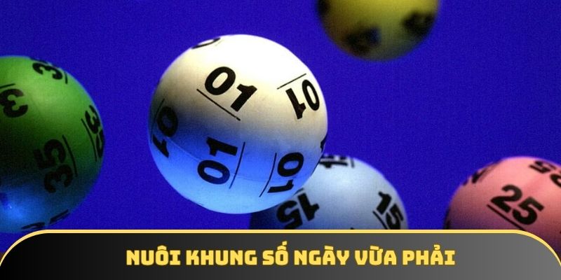 Nuôi khung trong các ngày hợp lý
