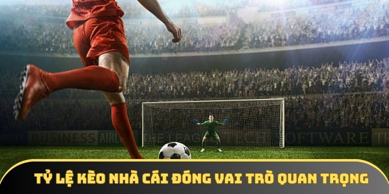 Tỷ lệ kèo nhà cái đóng vai trò quan trọng