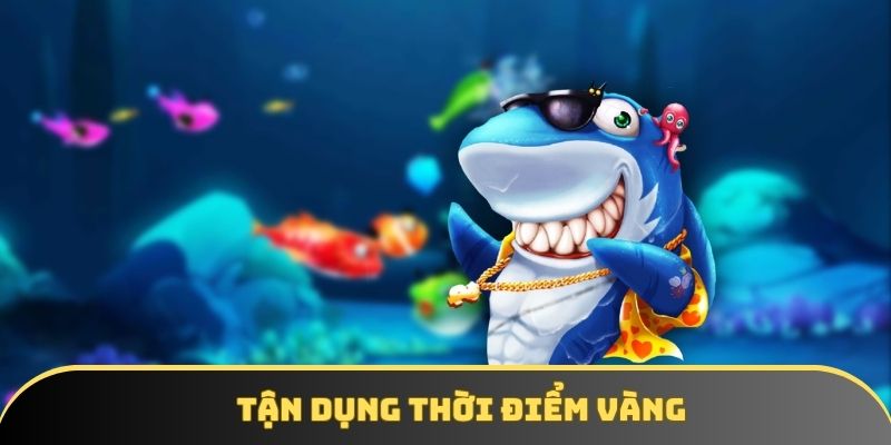 Tận dụng thời điểm vàng Tận dụng thời điểm vàng
