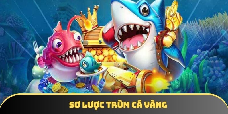 Sơ lược trùm cá vàng